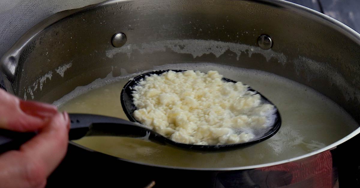 плавленый творог