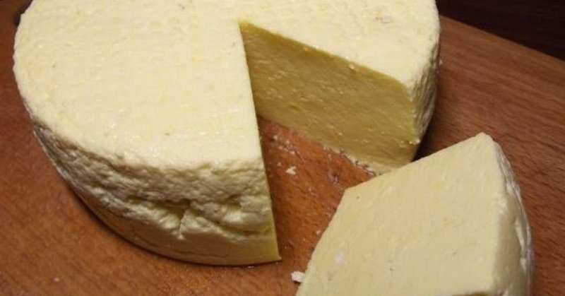 домашняя брынза