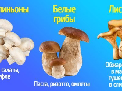 Как приготовить разные грибы