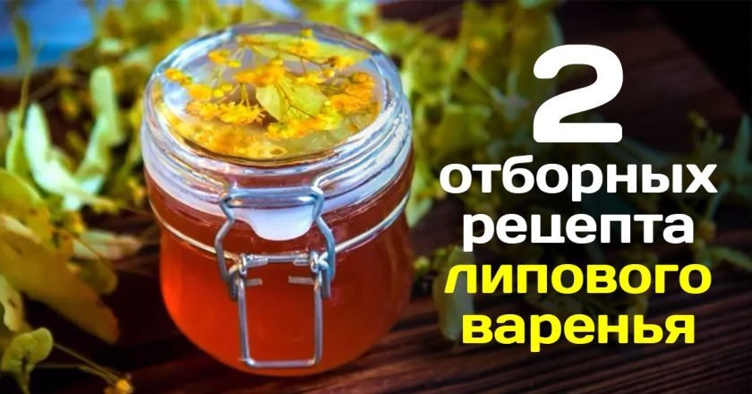 Как приготовить варенье из липы: 2 способа как приготовить варенье из липы