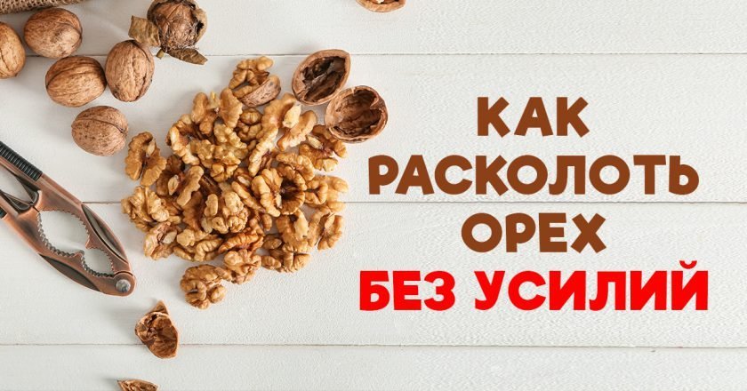 Как расколоть орех Как расколоть орех