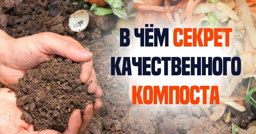 как сделать компост