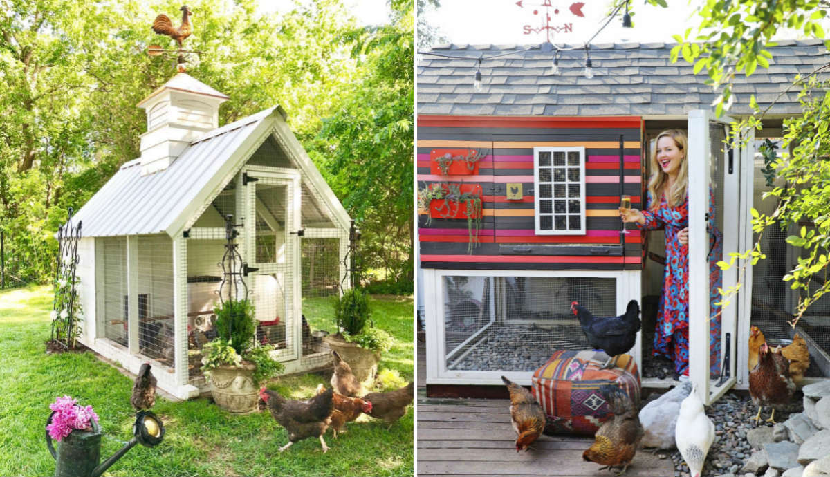 как сделать курятник