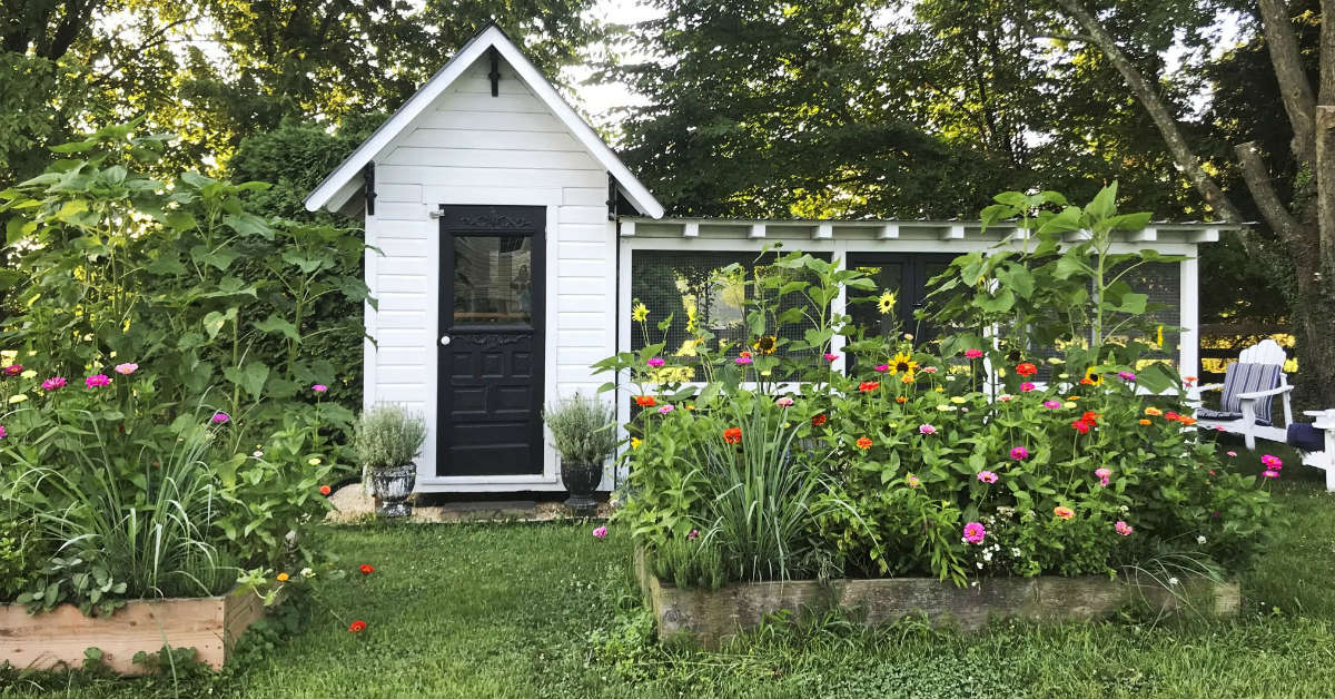 курятник дома