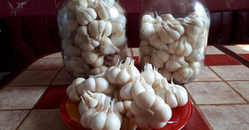 как сохранить чеснок