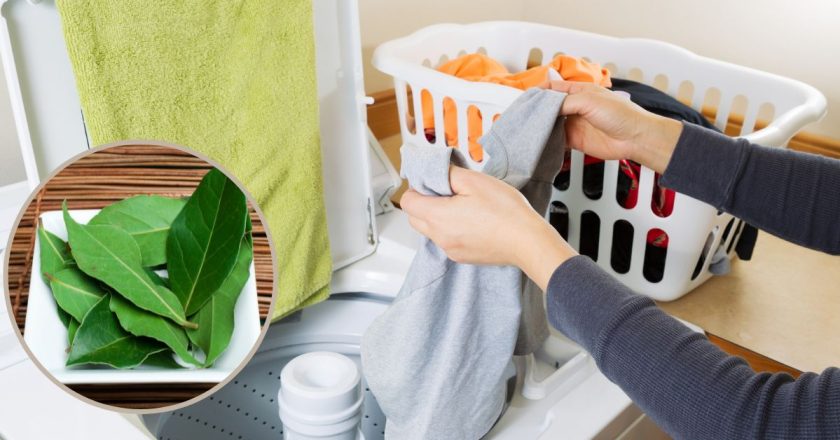 как сохранить цвет одежды