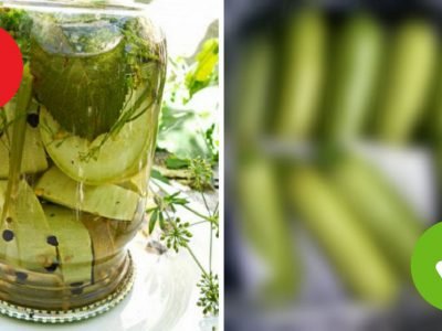 Как сохранить кабачки свежими