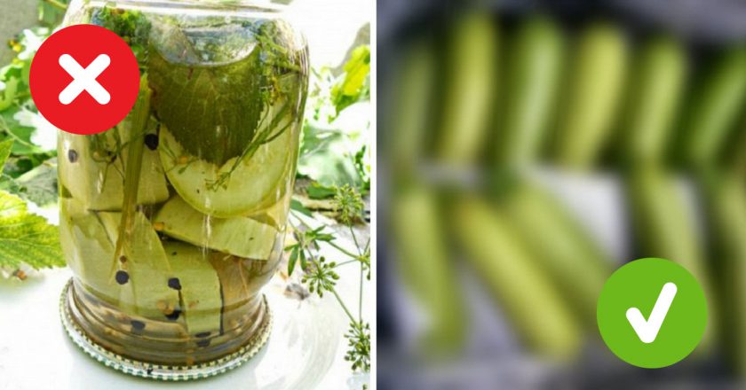 как сохранить кабачки свежими