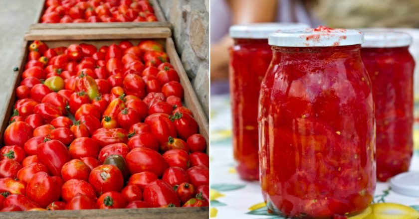 как сохранить помидоры на зиму