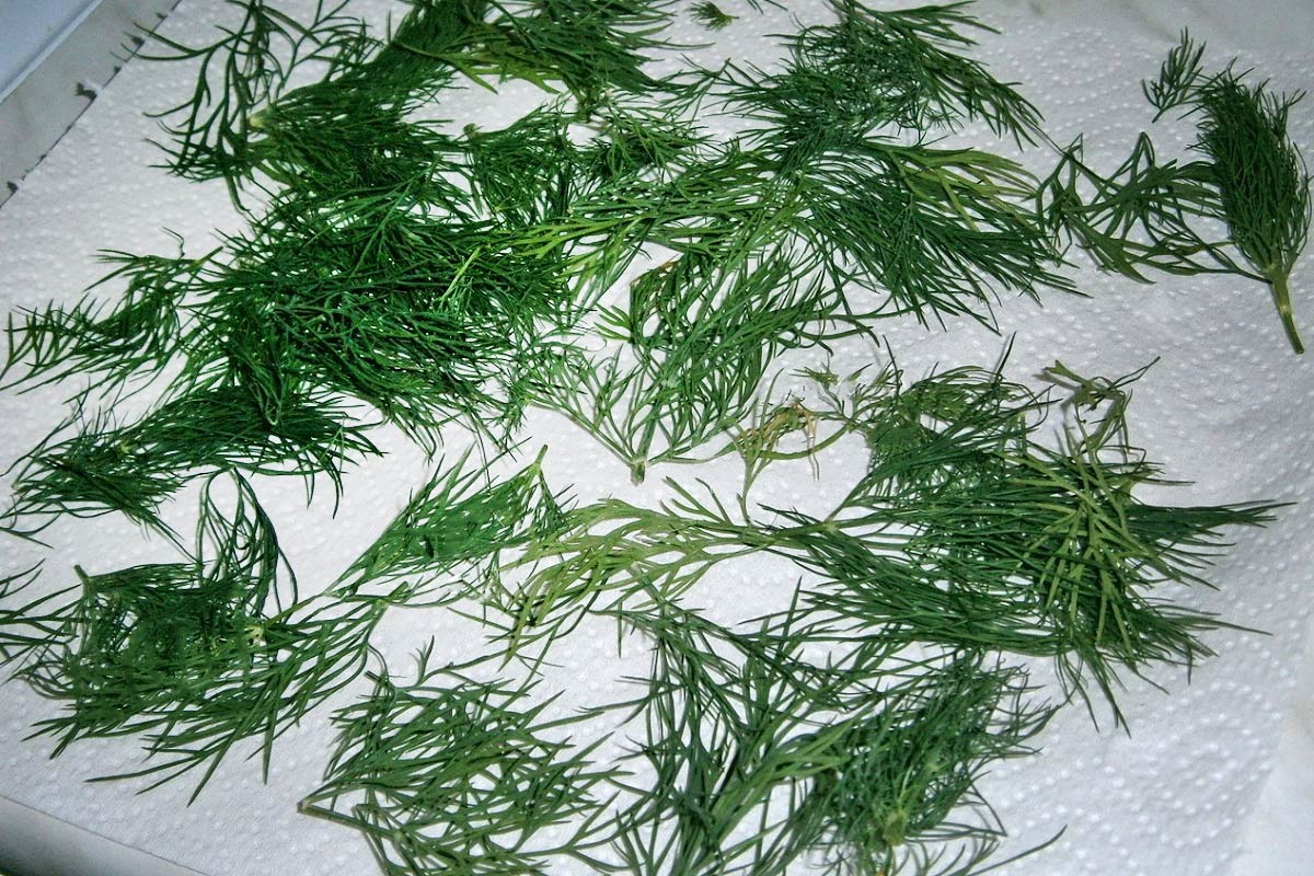 лайфхак с зеленью