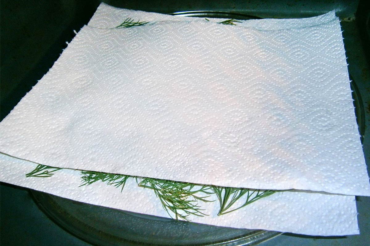 как высушить зелень дома