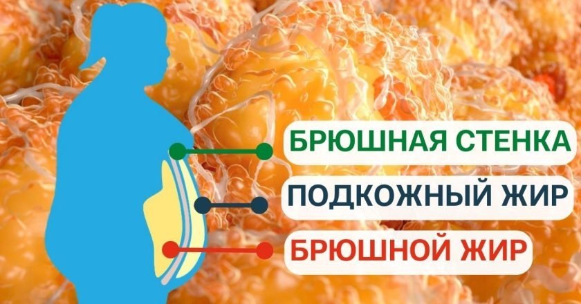 Как убрать жир с живота