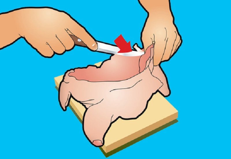 как удалить кости птицы