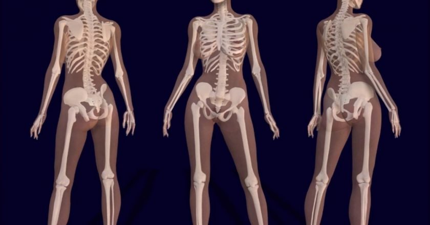 Как укрепить кости