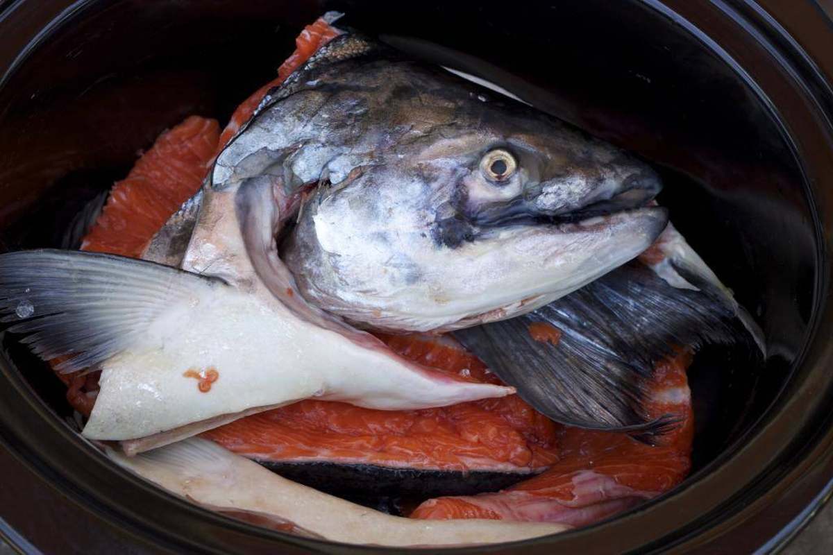 Как приготовить рыбу чернокопа