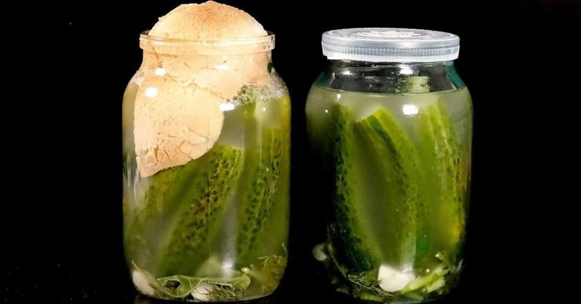 огурцы как бочковые