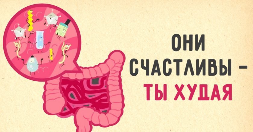 Как восстановить микрофлору кишечника как восстановить микрофлору кишечника