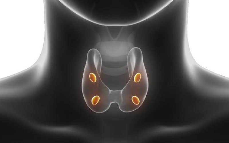 как восстановить метаболизм