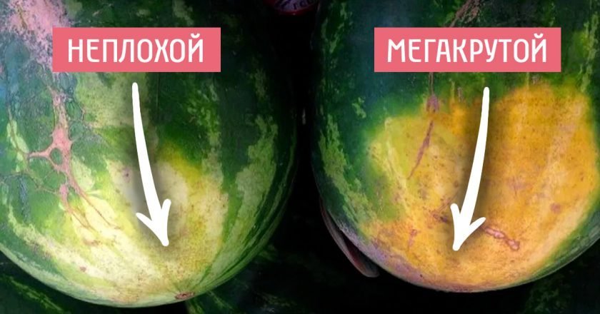 как выбрать арбуз