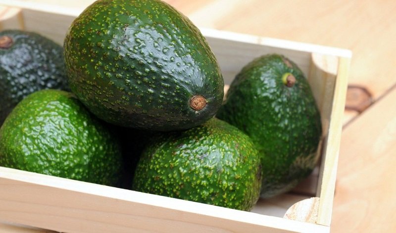 зеленый авокадо