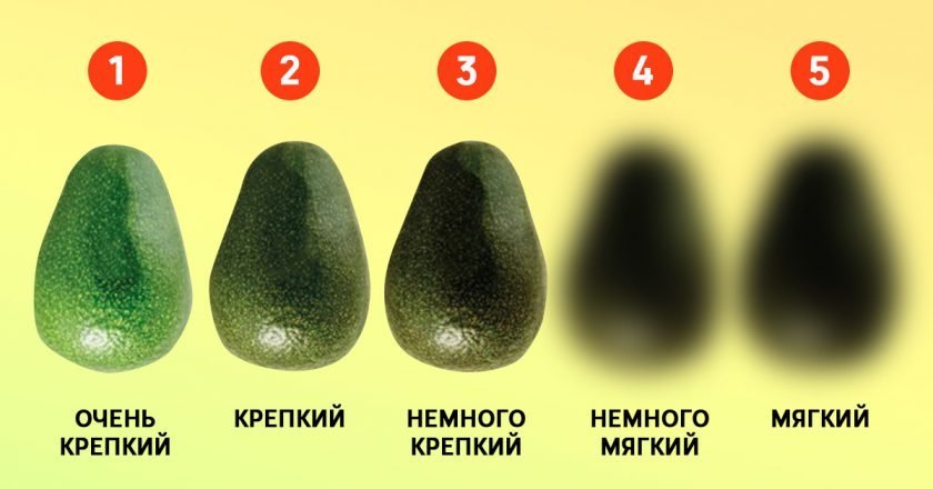 Как выбрать авокадо - Со Вкусом
