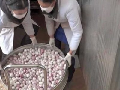 Как выбрать чеснок
