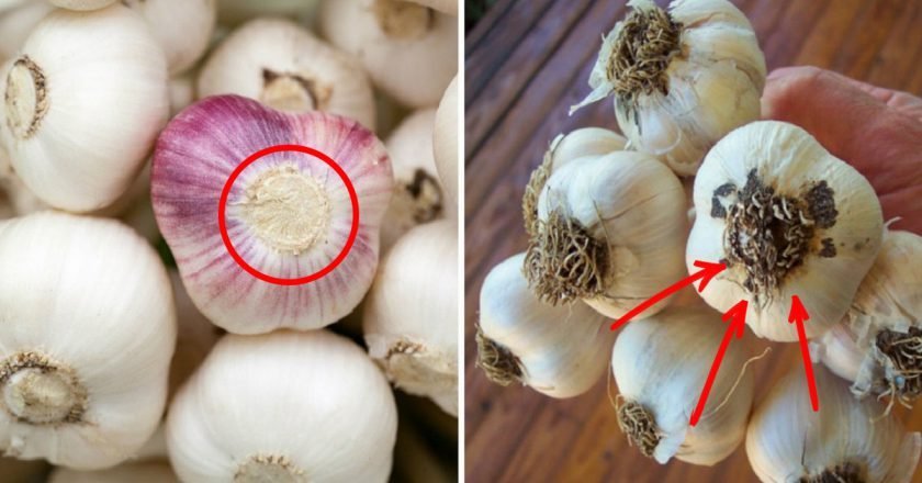 как выбрать чеснок