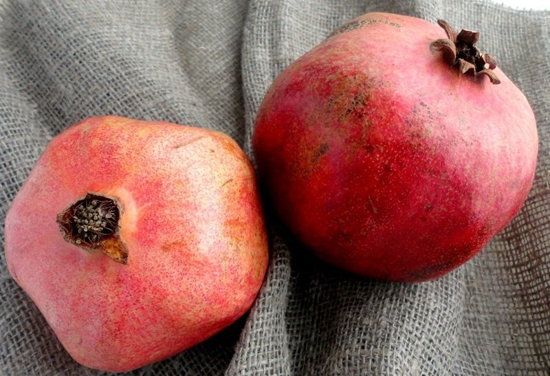 гранат изображение