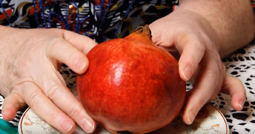 гранат фото