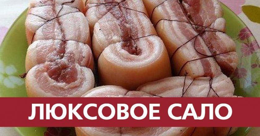 Как выбрать и засолить сало как выбрать и засолить сало