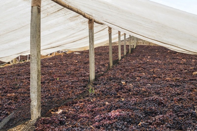 изюм на рынке