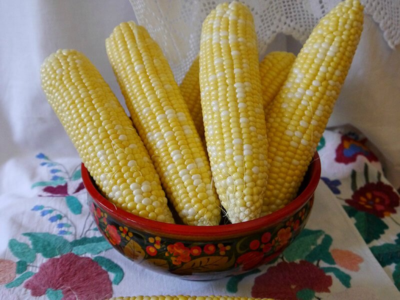 как варить выбрать кукурузу