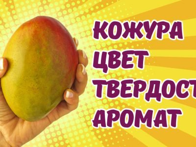 Как выбрать манго: признаки спелого фрукта