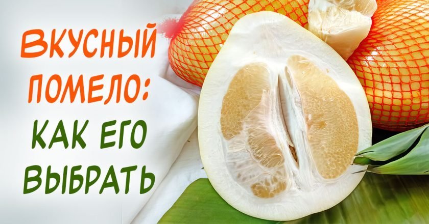 как выбрать помело