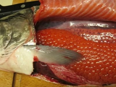 Как выбрать рыбу с икрой