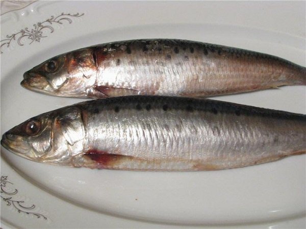 как выбрать сельдь