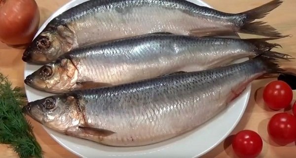 как выбрать сельдь