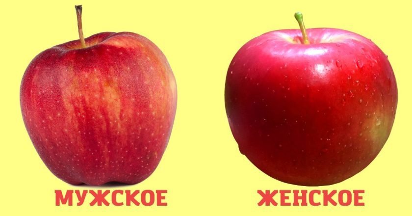 как выбрать сладкие яблоки