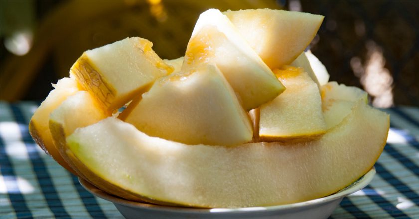 Как выбрать спелую дыню