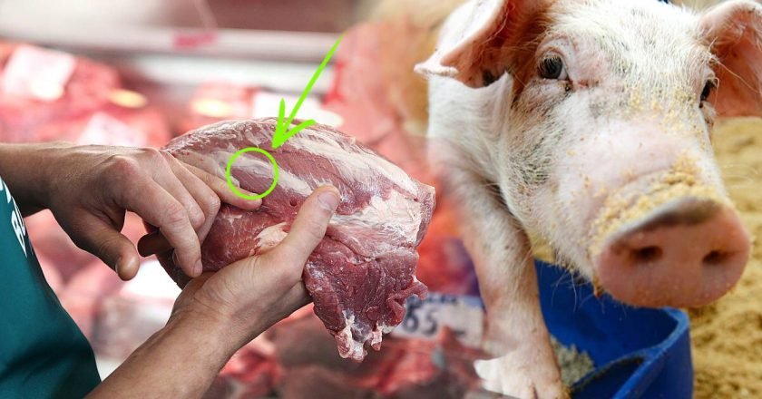 Как выбрать свинину