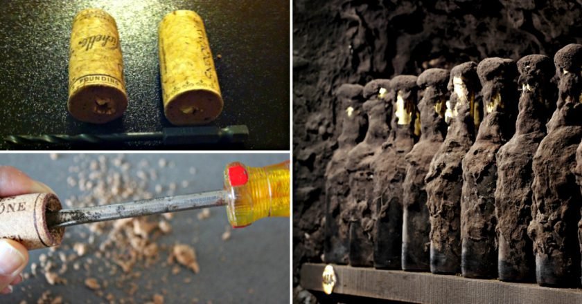 как выбрать вино