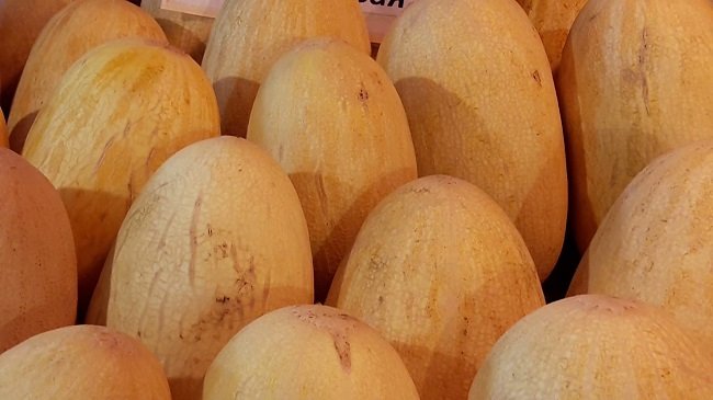 Как выбрать вкусную дыню
