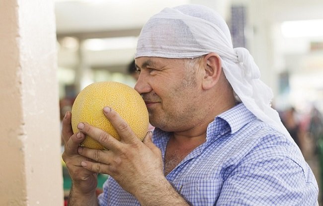 Как выбрать вкусную дыню