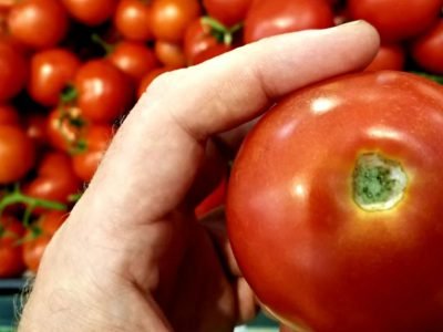 Как выбрать вкусные помидоры