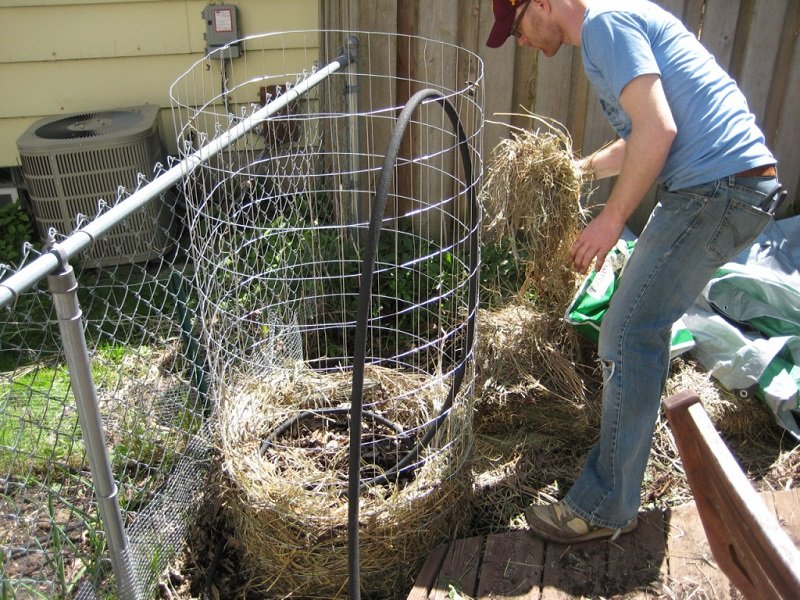 как вырастить большой урожай
