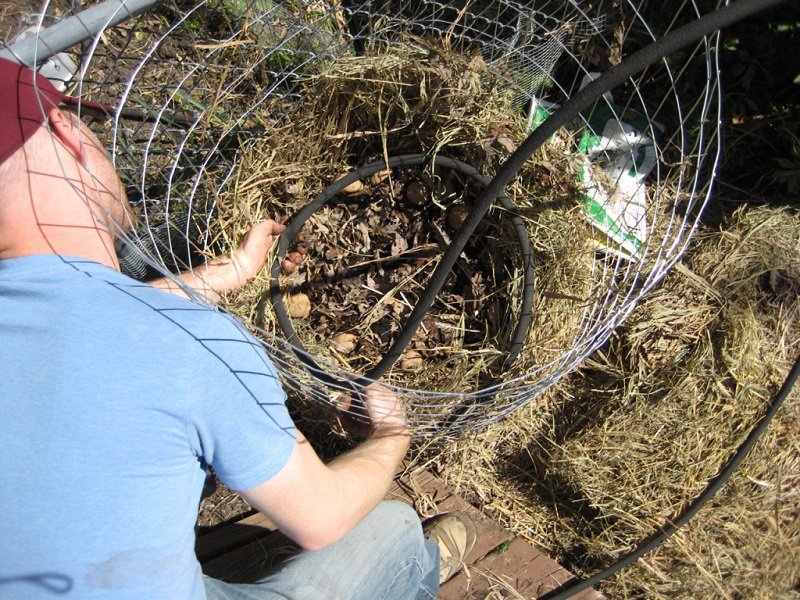 картофель в сетках