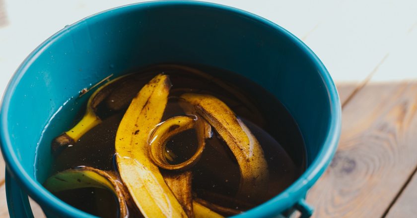 как приготовить удобрение из банана