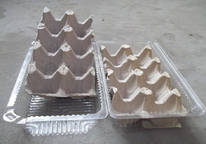 лук в яично лотке