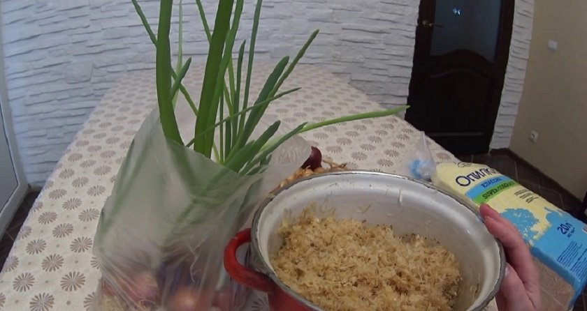 как вырастить лук в пакете