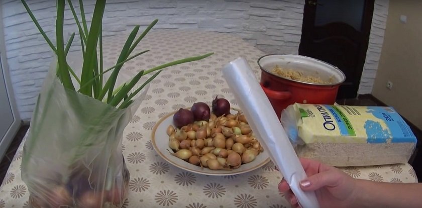 как вырастить лук дома